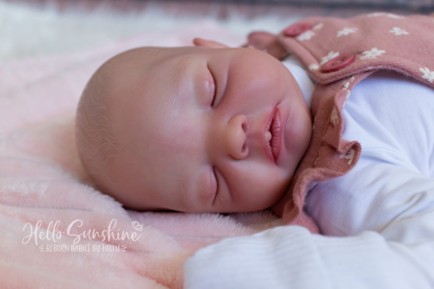 Avery {Cuddle}