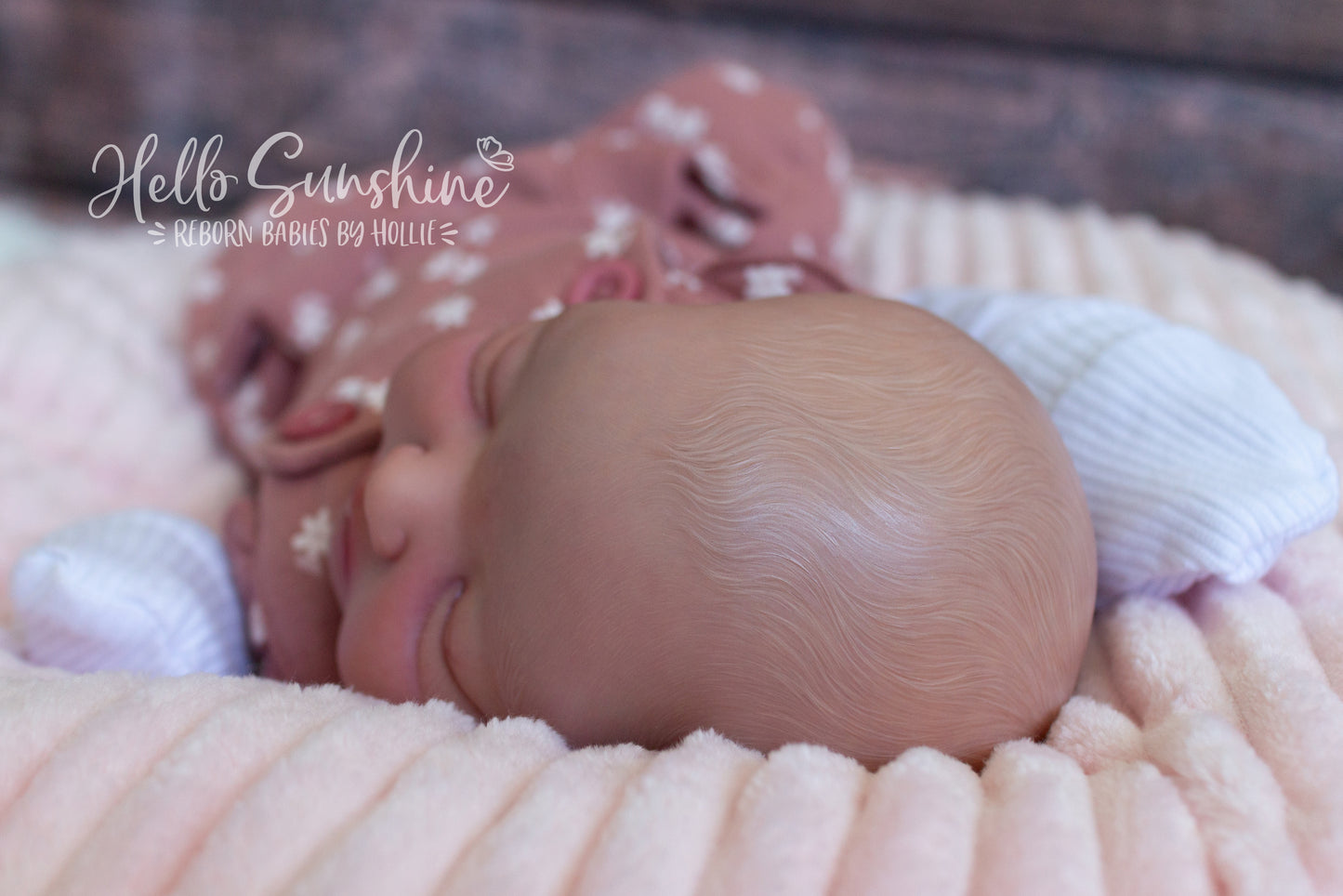 Avery {Cuddle}