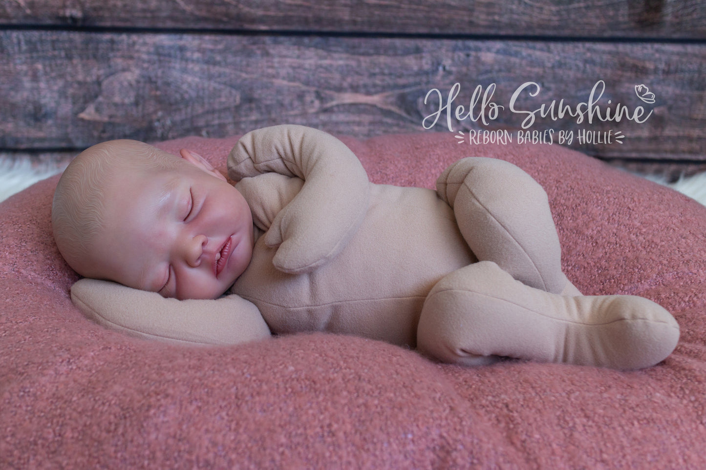 Avery {Cuddle}