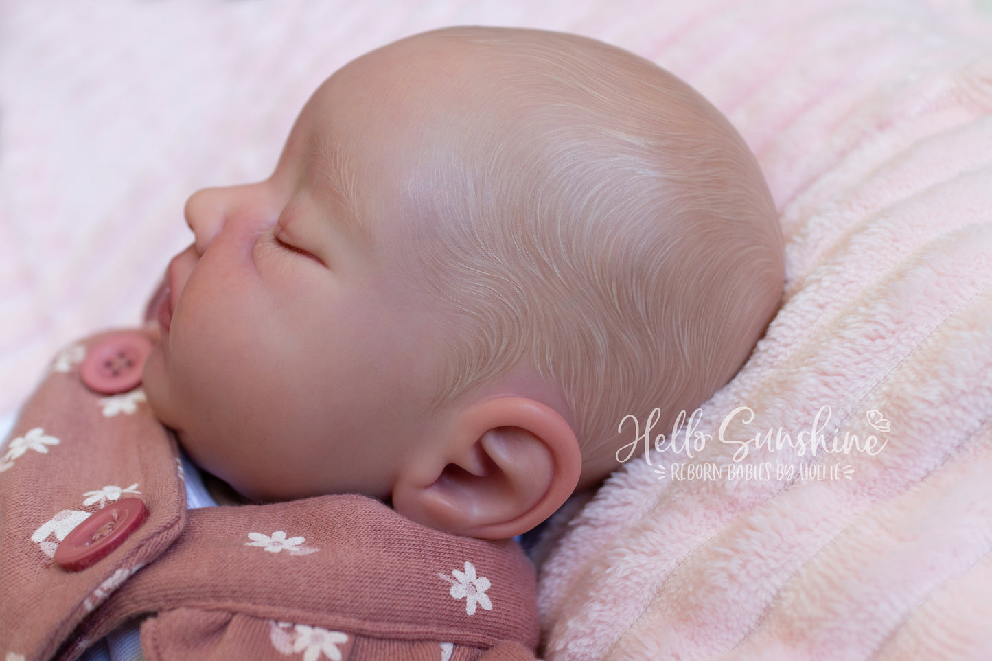 Avery {Cuddle}