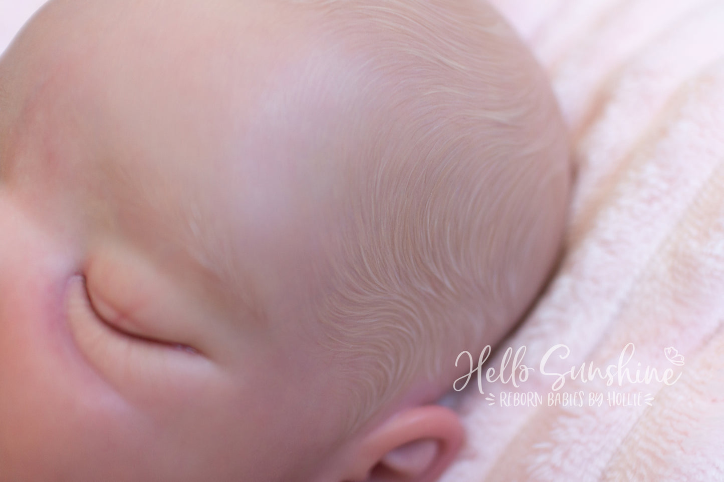 Avery {Cuddle}