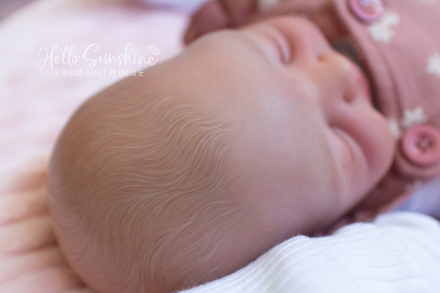 Avery {Cuddle}