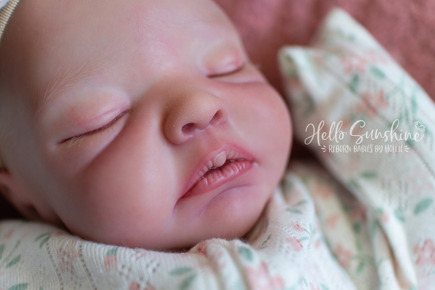 Avery {Cuddle}