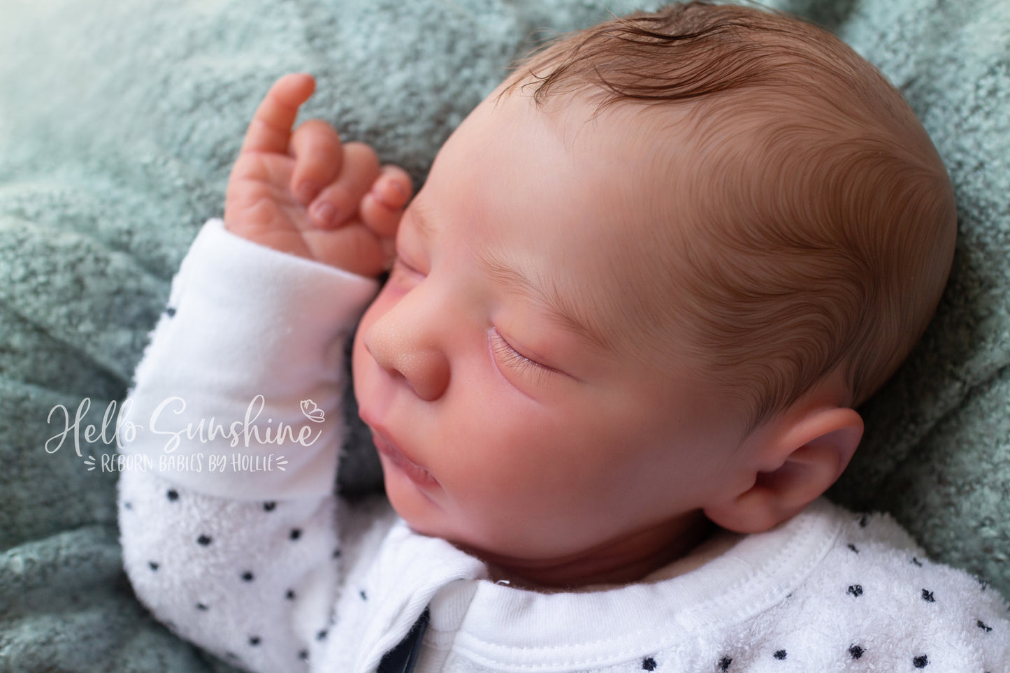Dominic 2