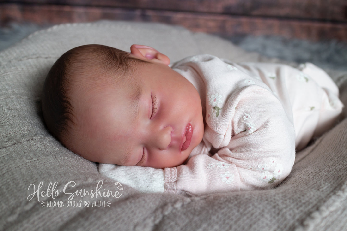 Gemma {Cuddle}