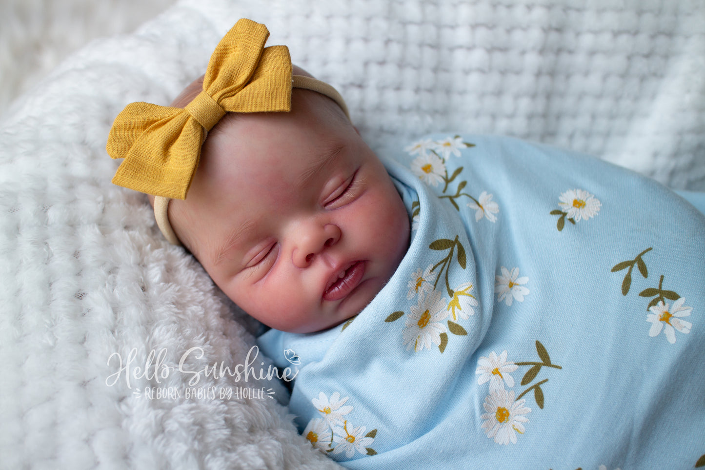 Jazmin {Cuddle}
