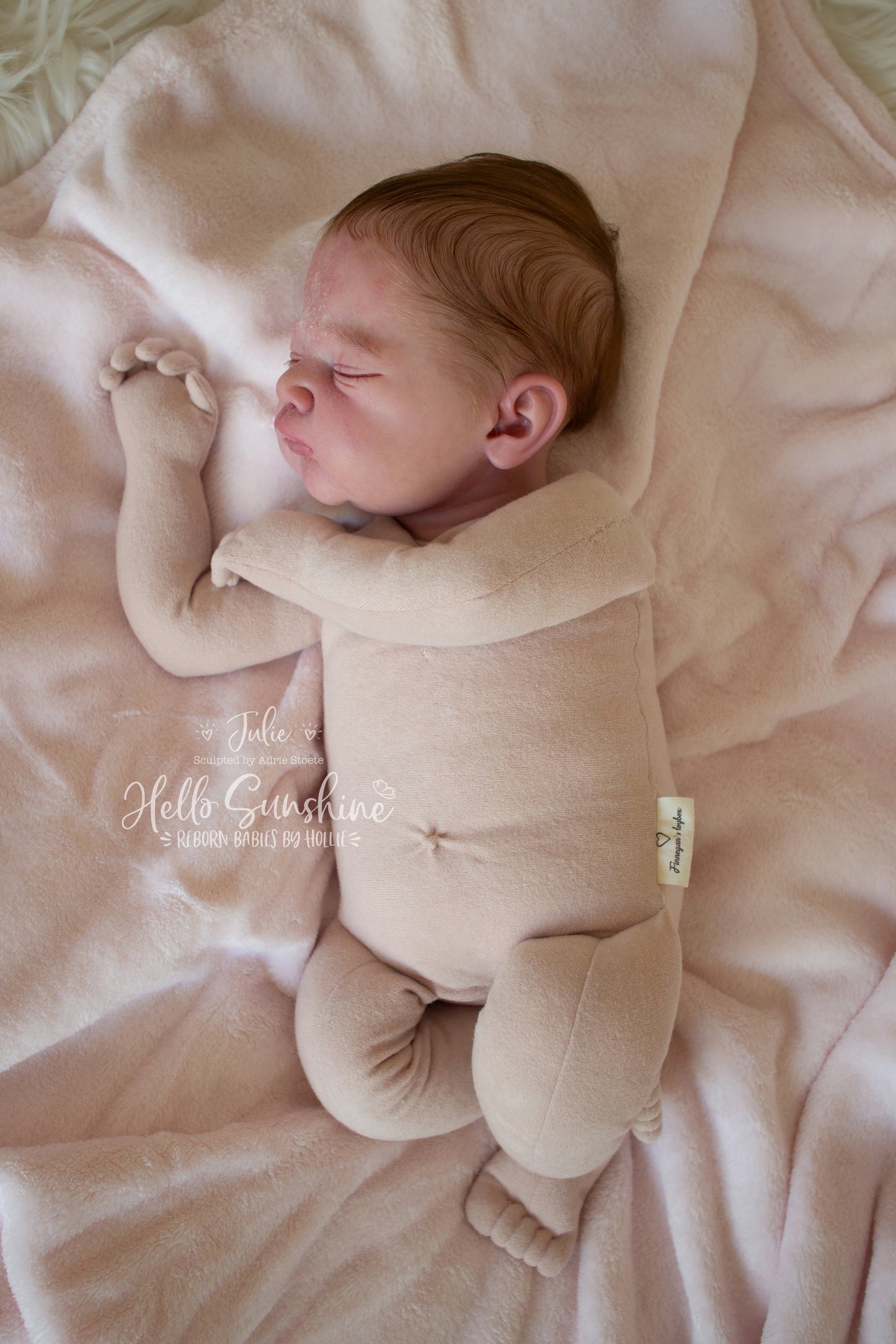 Julie 2 {Cuddle}