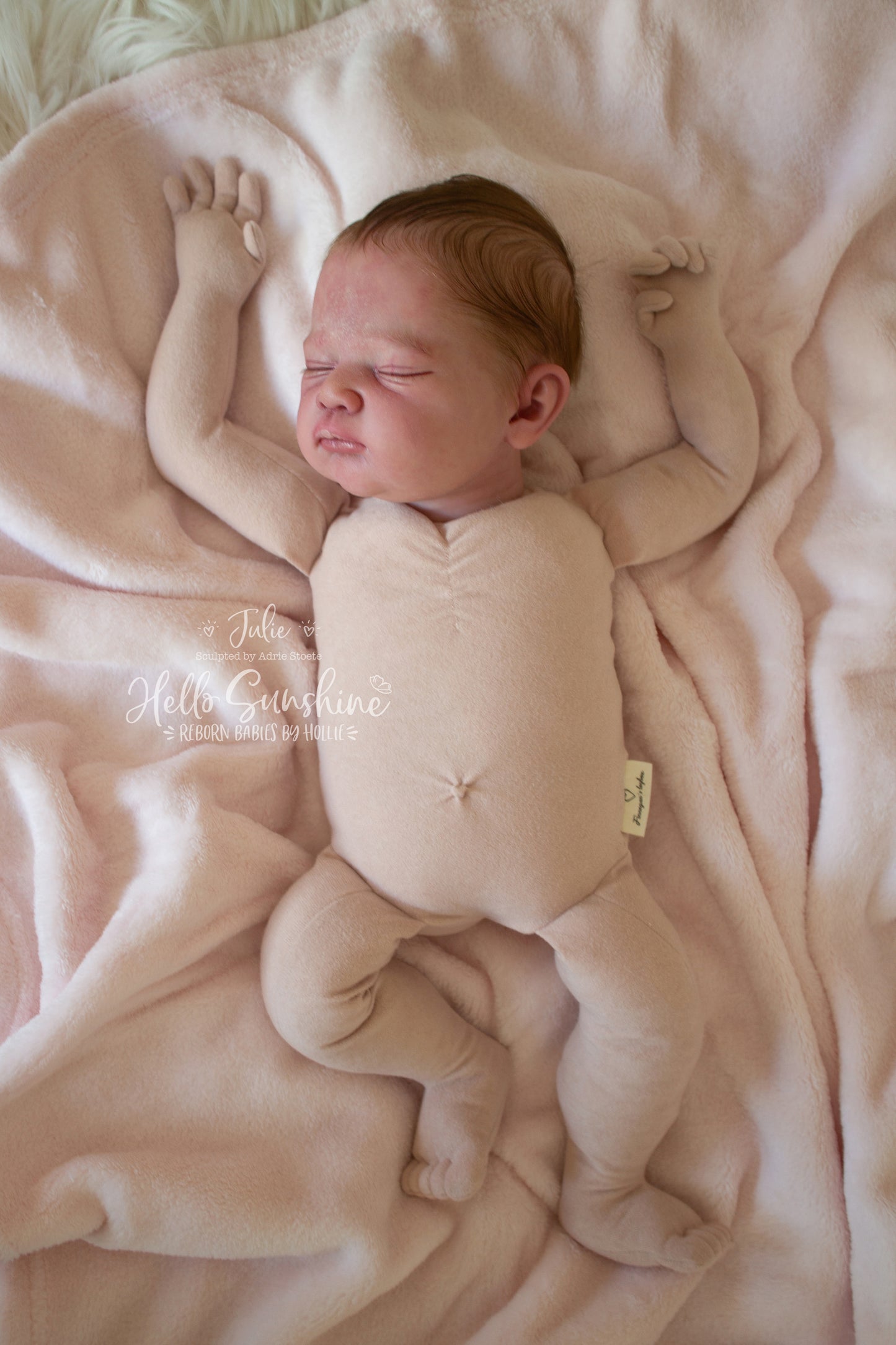 Julie 2 {Cuddle}