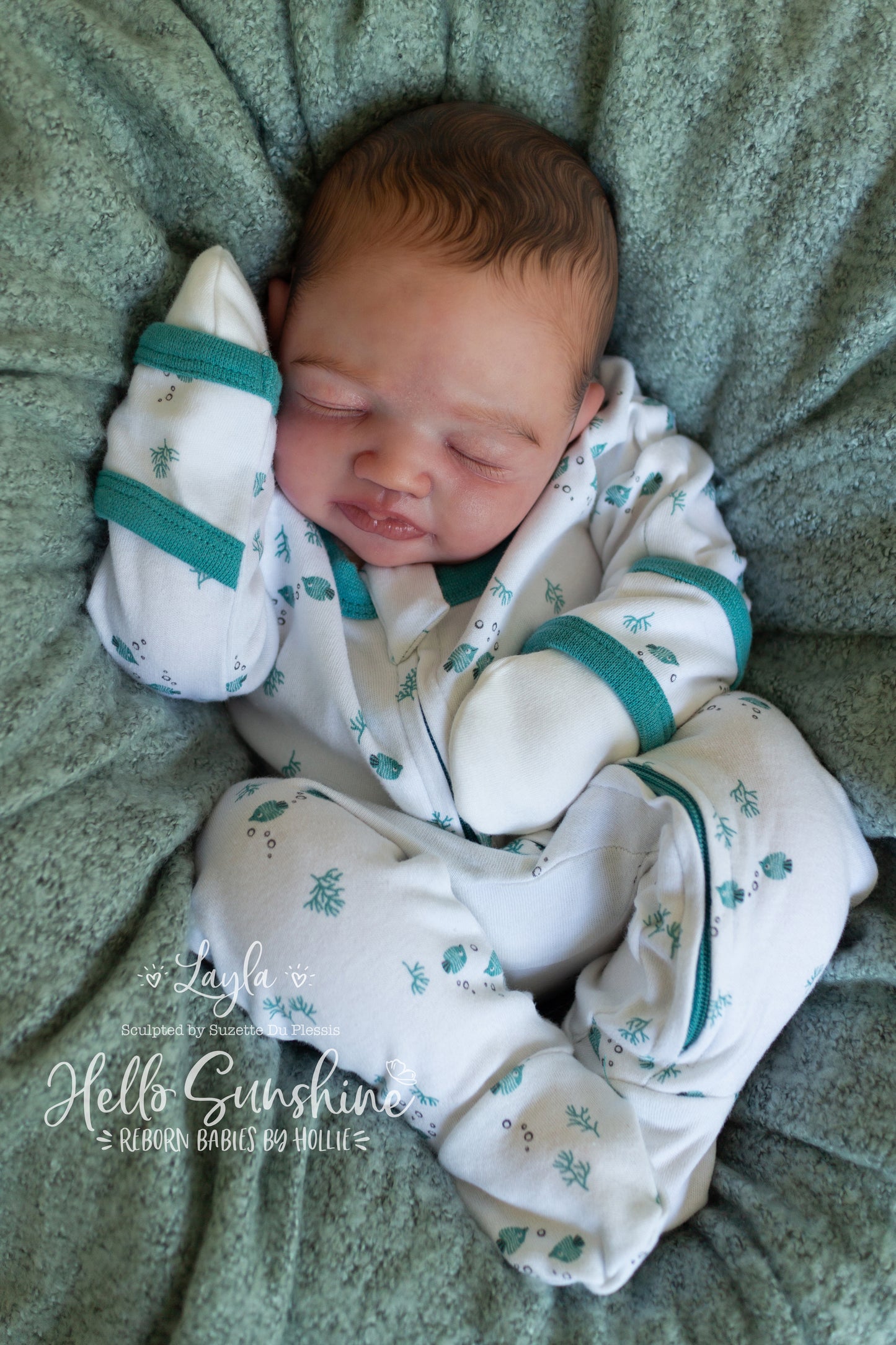 Layla {Cuddle}