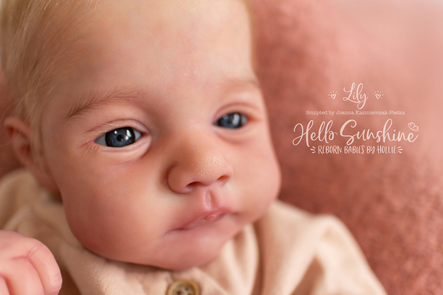 Lily
