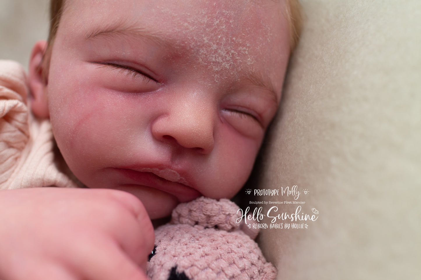 Molly {Prototype}