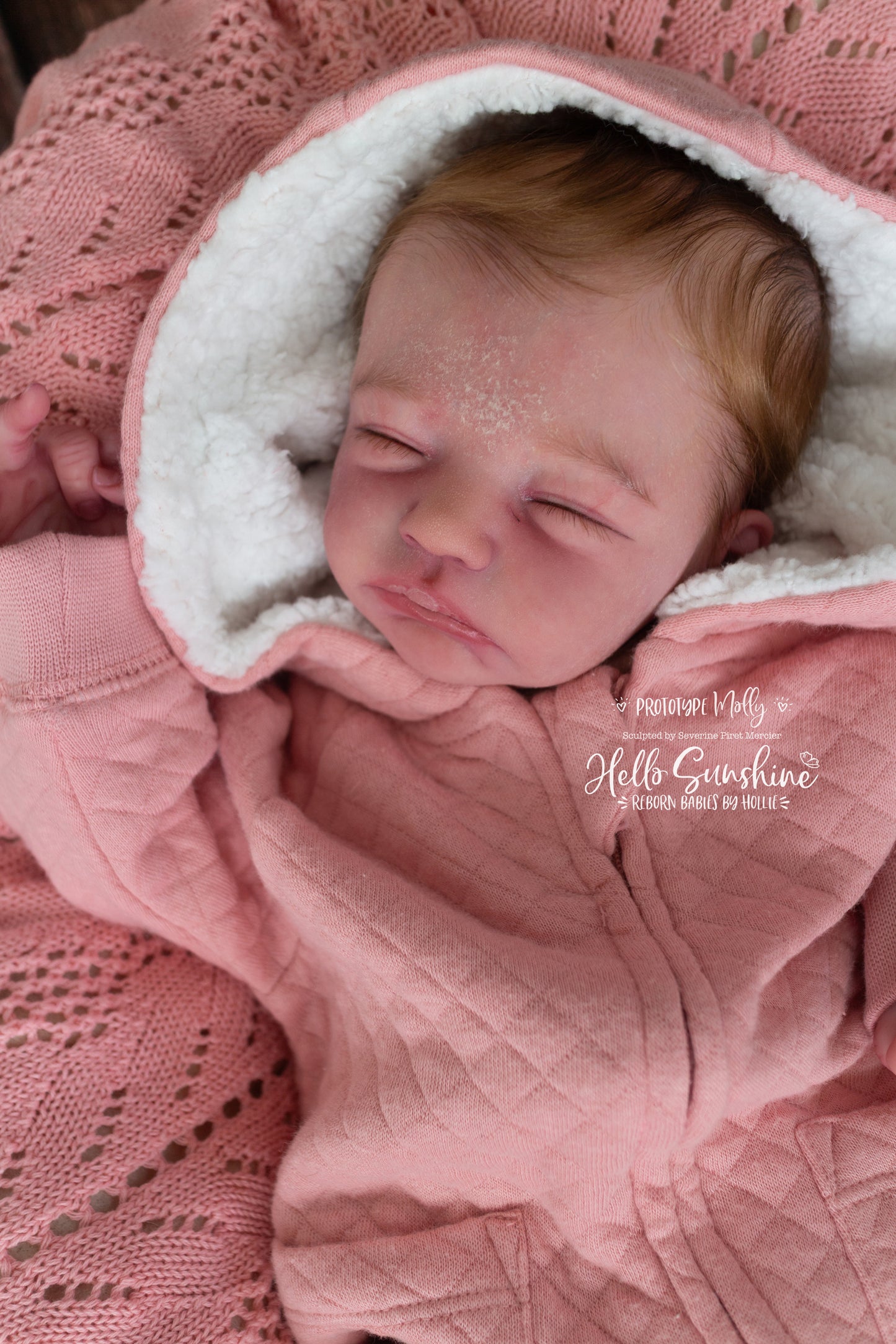 Molly {Prototype}