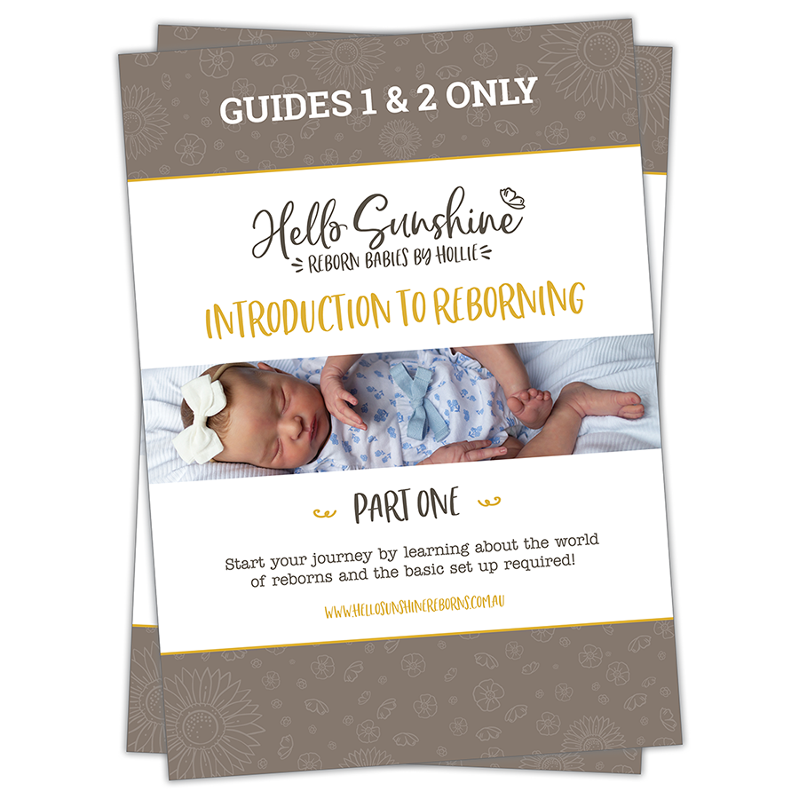 Introduction To Reborning