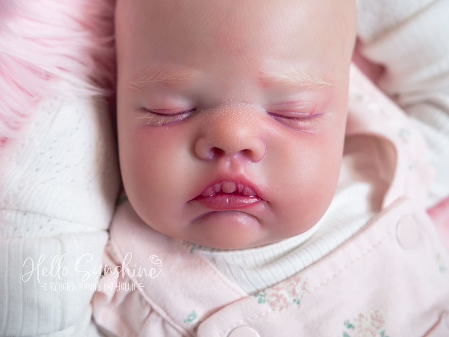Rylee {Cuddle}