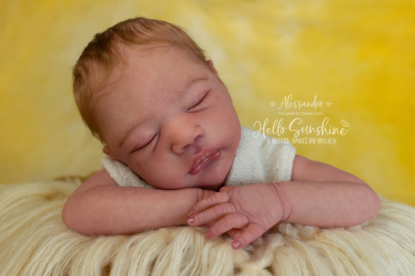 Alessandro
