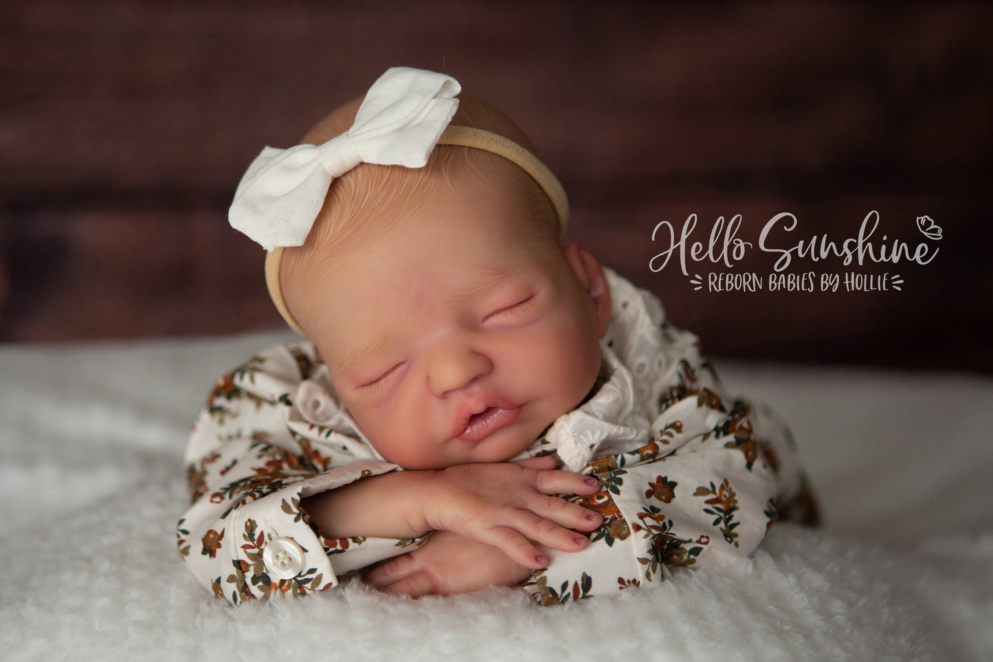Brin by Lisa Sylvia
