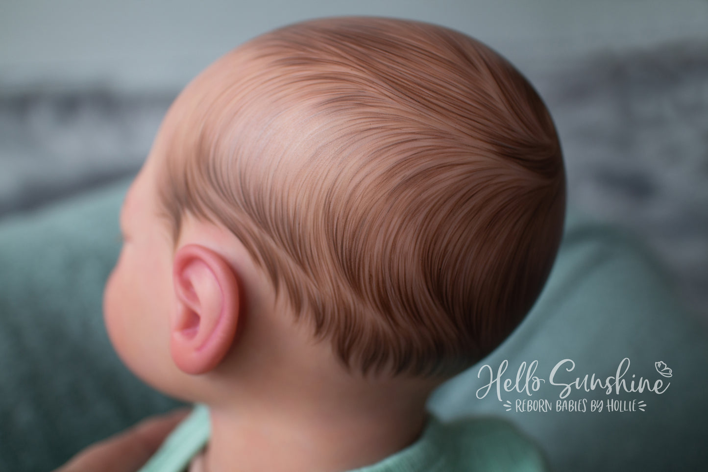 Acorn {Cuddle}