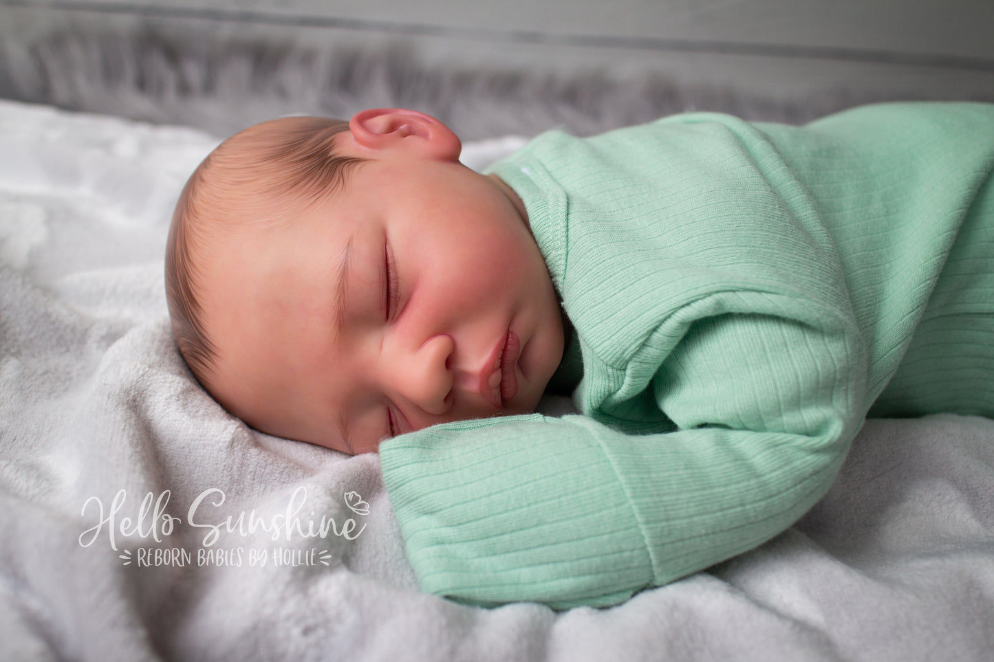 Acorn {Cuddle}