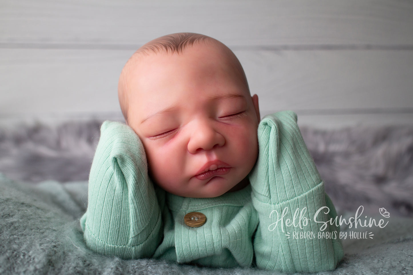 Acorn {Cuddle}