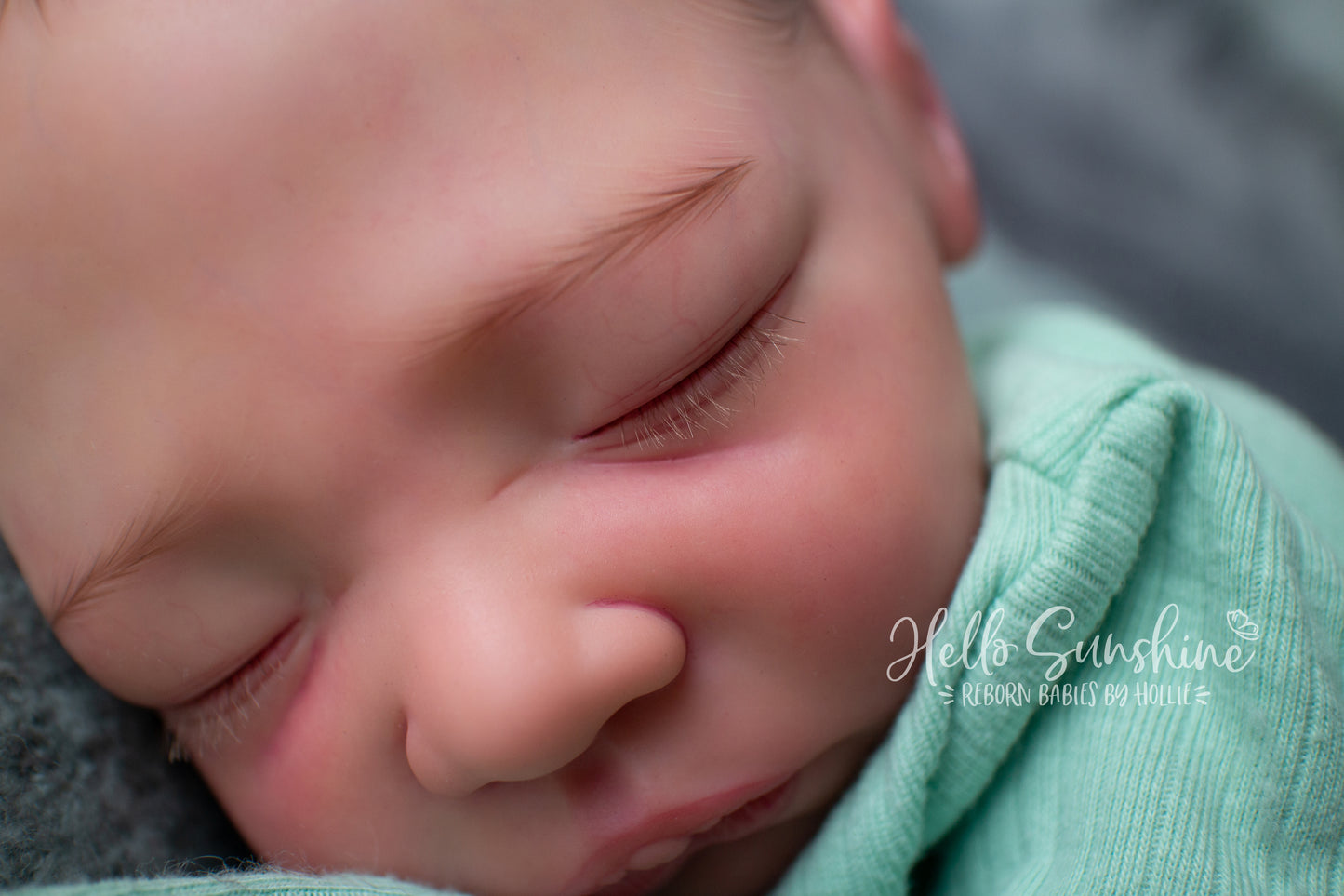 Acorn {Cuddle}