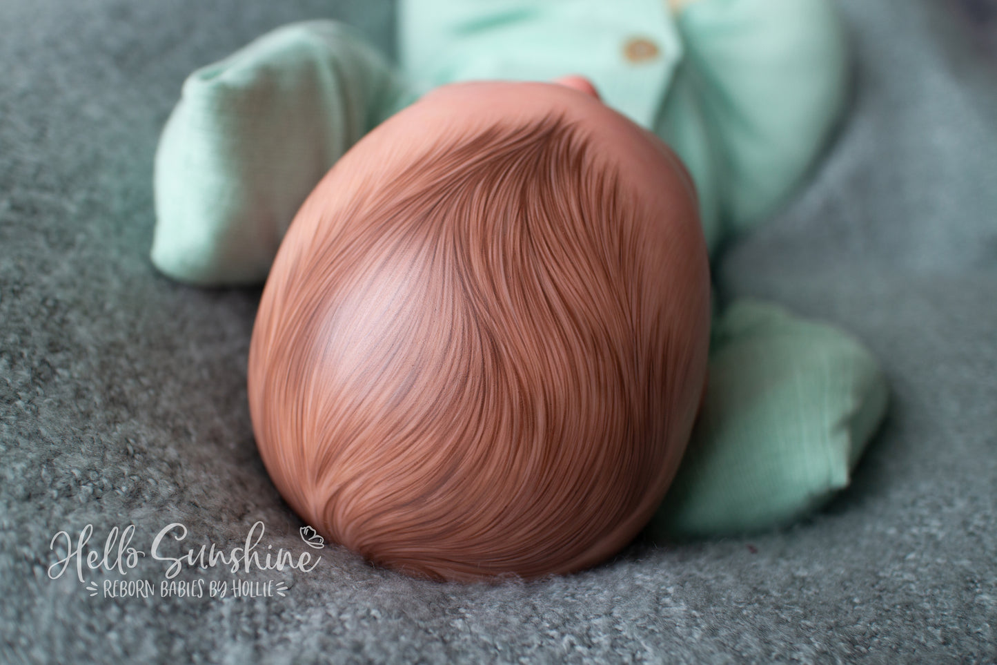 Acorn {Cuddle}