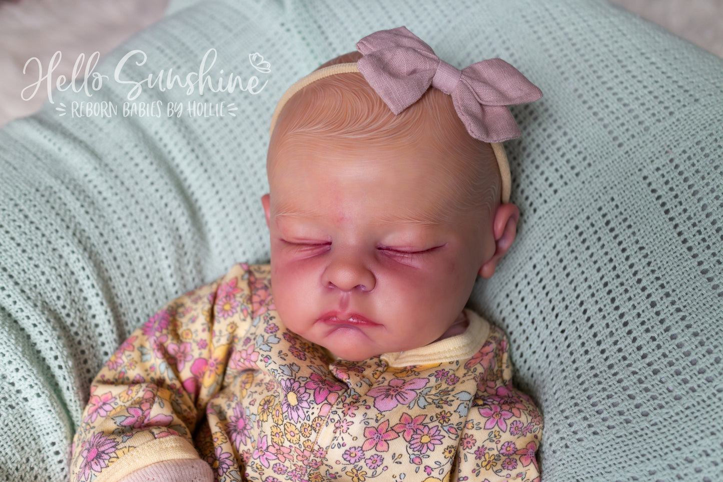 Andie {Cuddle}