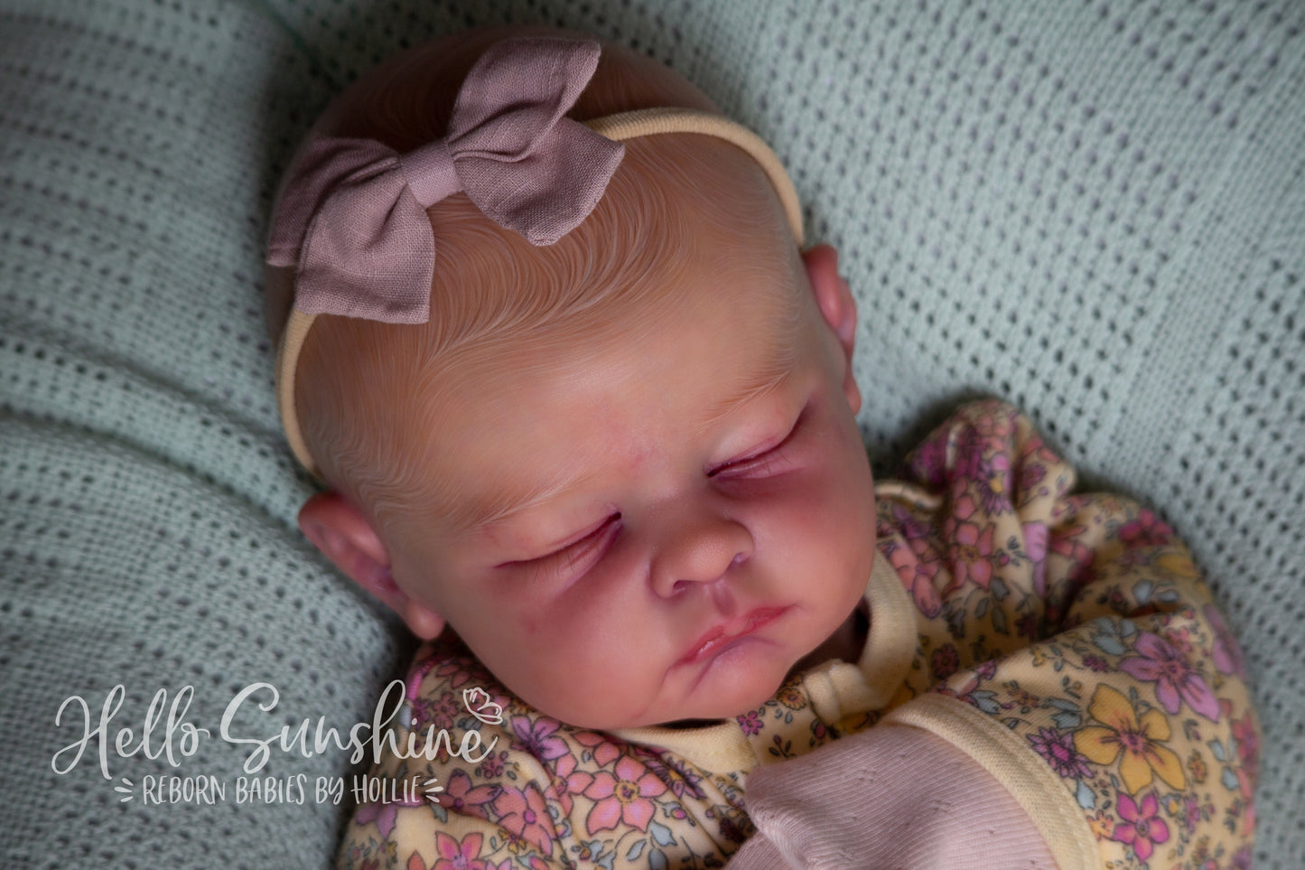Andie {Cuddle}