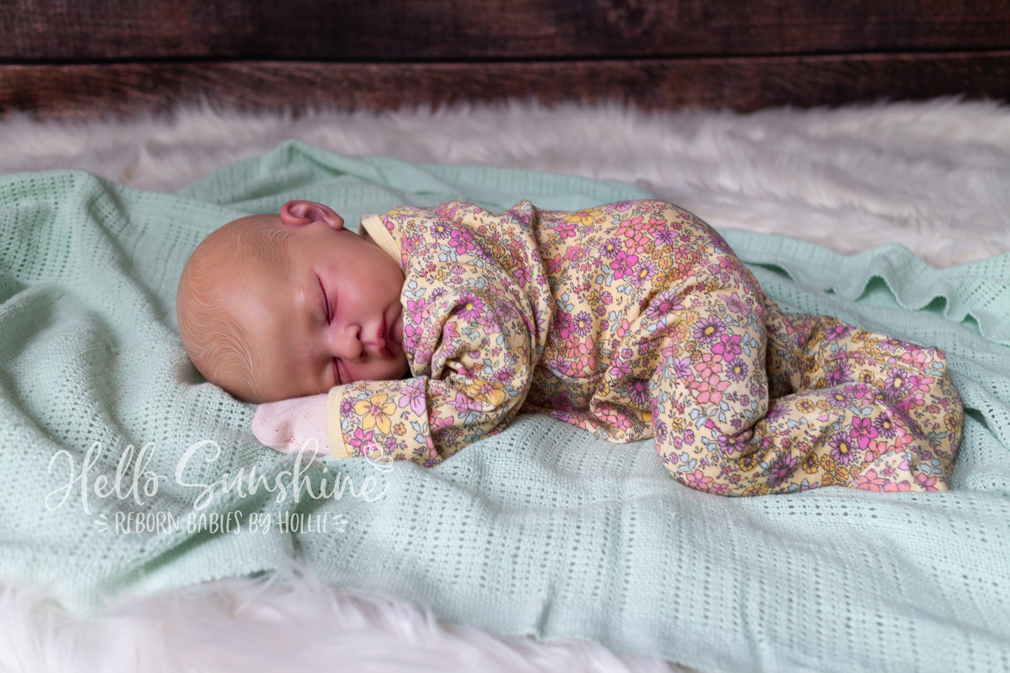 Andie {Cuddle}
