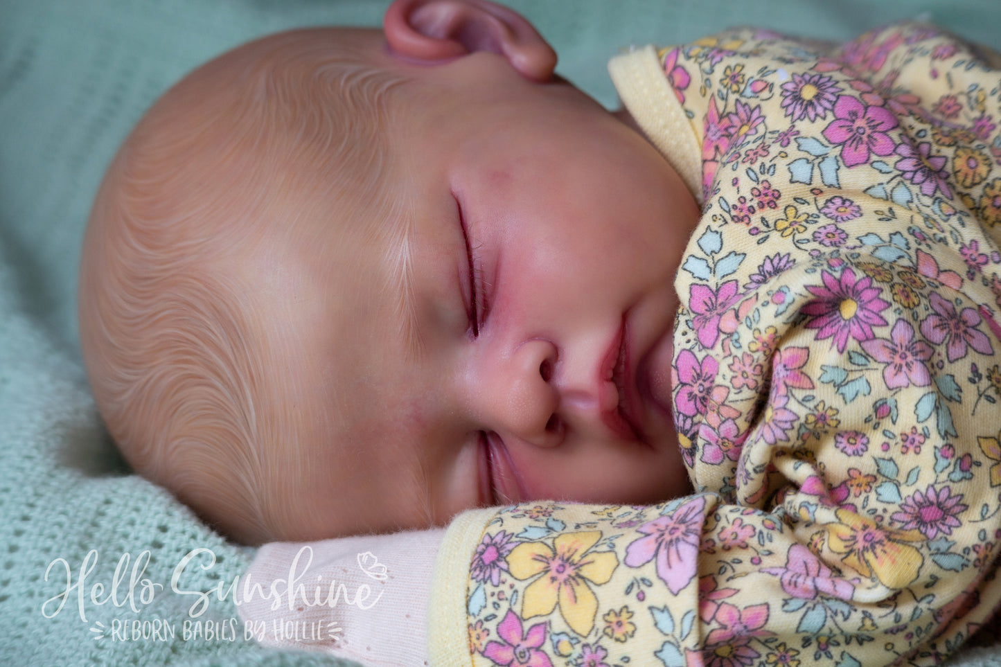 Andie {Cuddle}