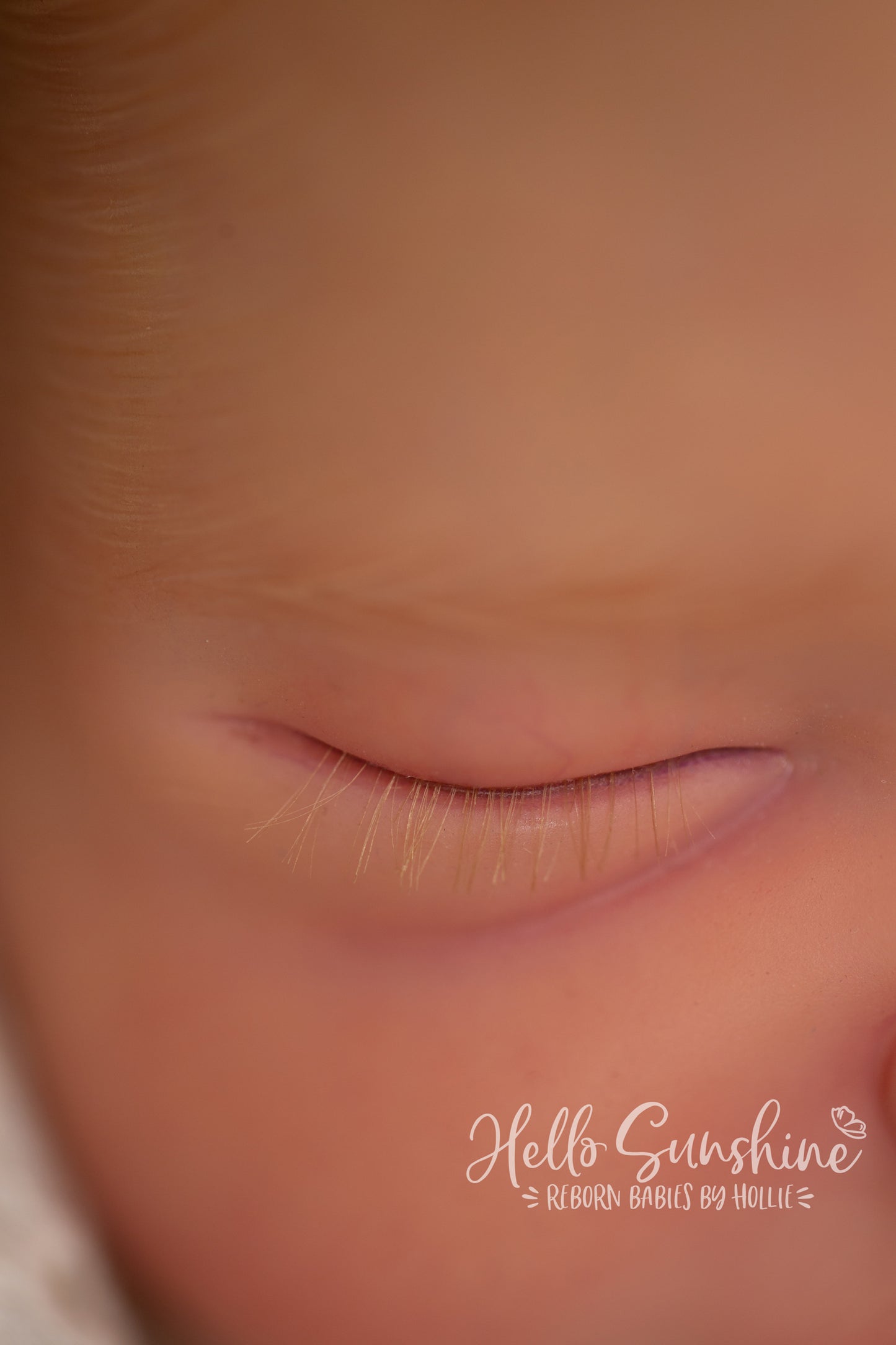 Brin by Lisa Sylvia