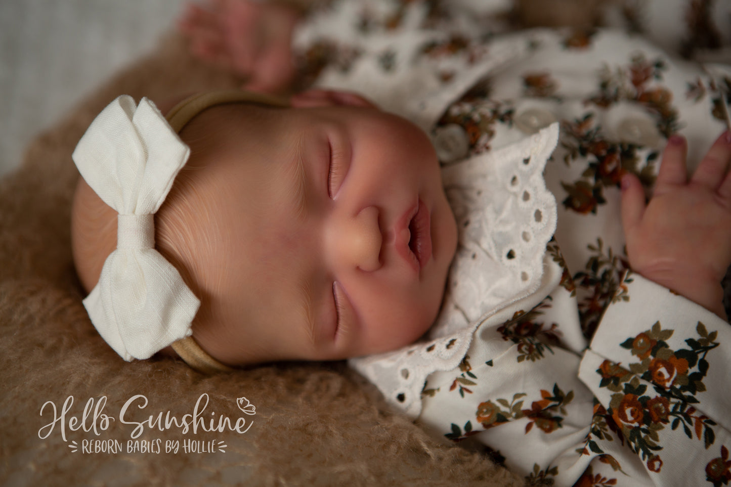 Brin by Lisa Sylvia