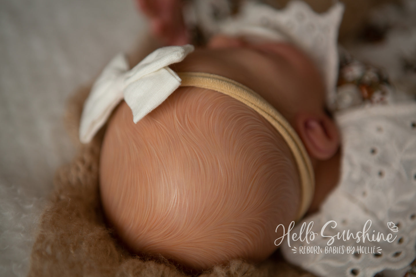 Brin by Lisa Sylvia