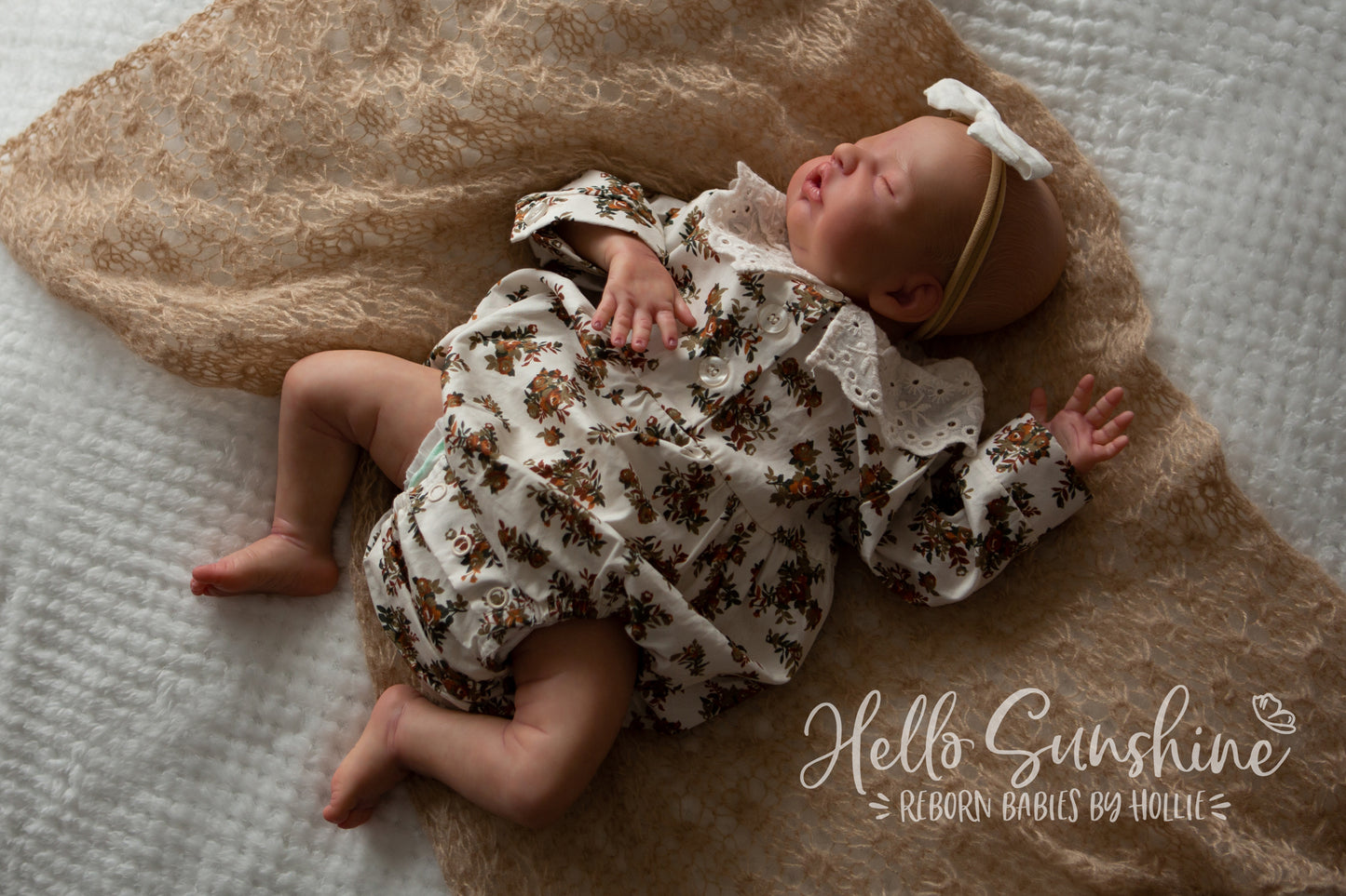 Brin by Lisa Sylvia