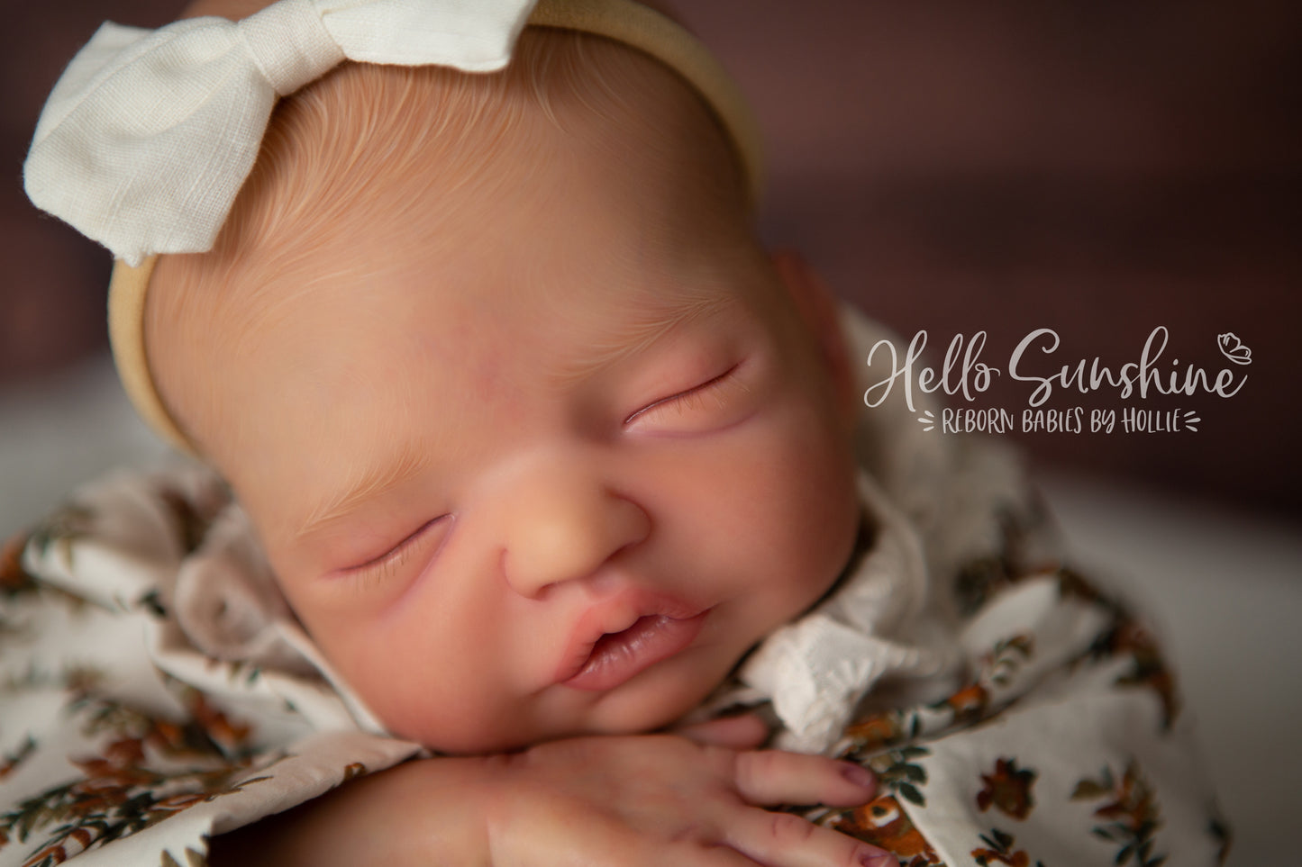 Brin by Lisa Sylvia