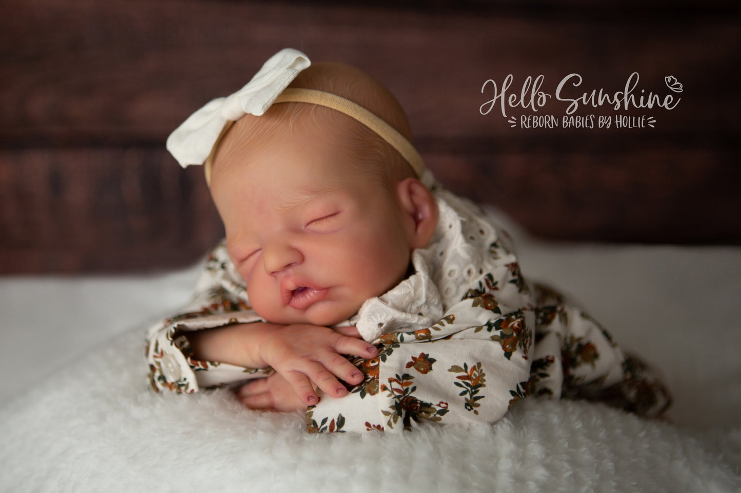 Brin by Lisa Sylvia