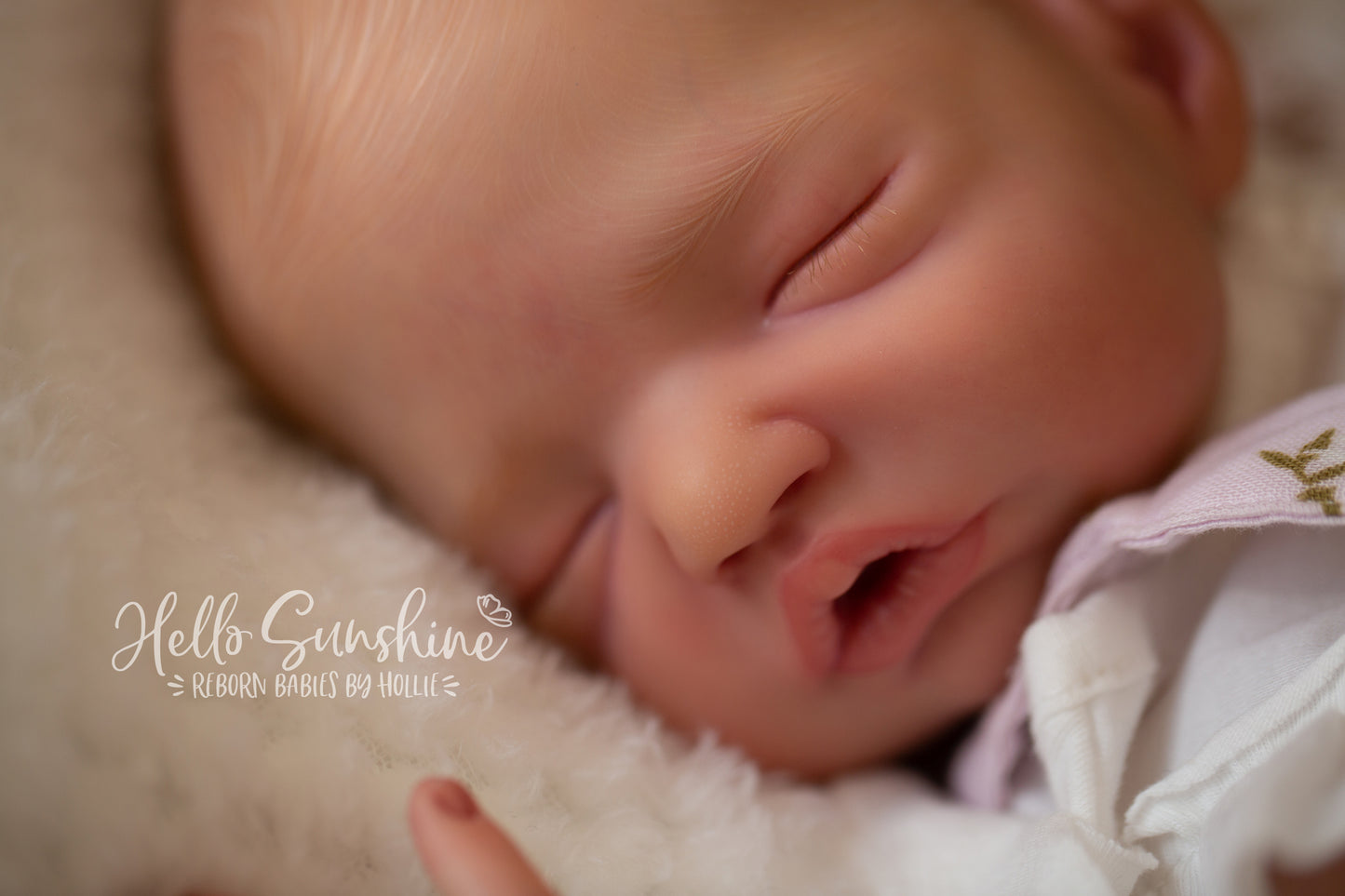 Brin by Lisa Sylvia