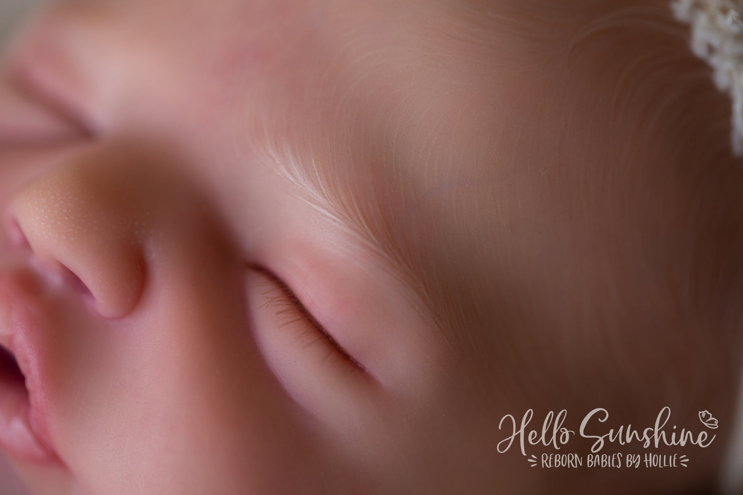 Brin by Lisa Sylvia