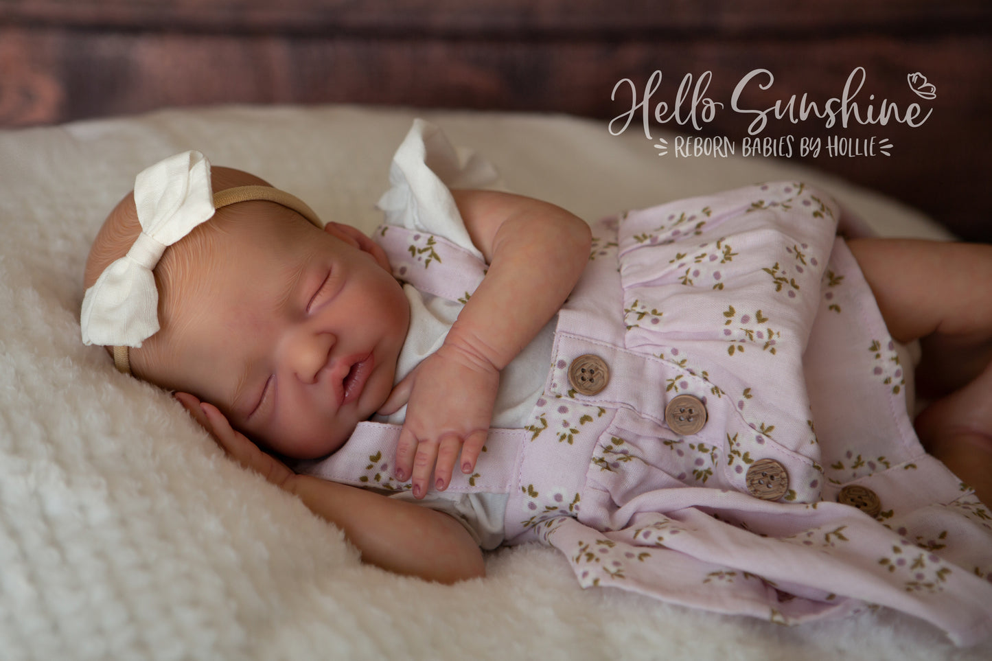 Brin by Lisa Sylvia