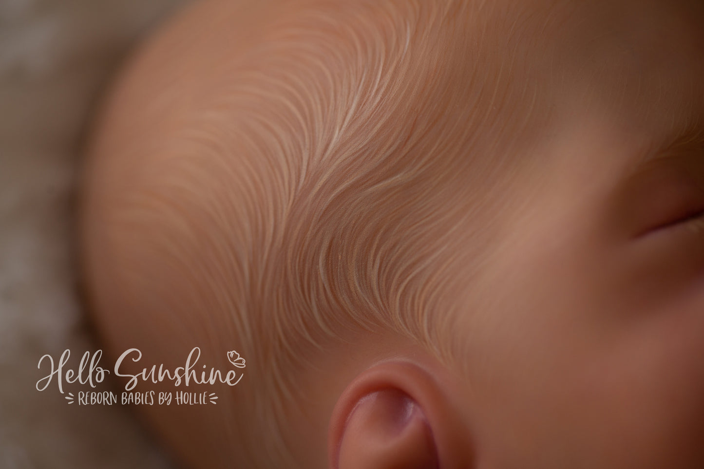 Brin by Lisa Sylvia
