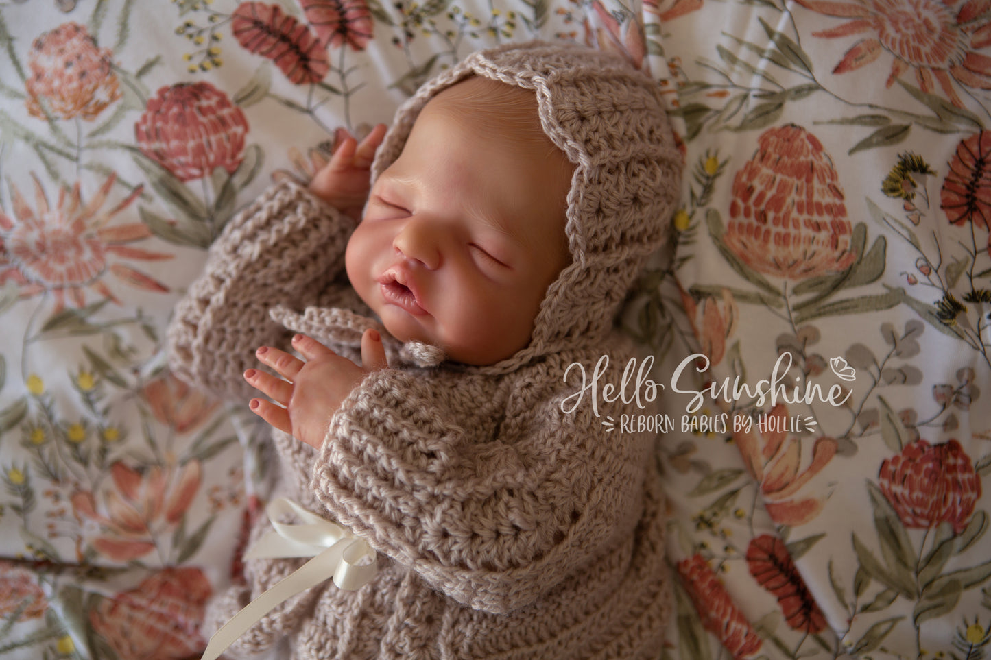 Brin by Lisa Sylvia