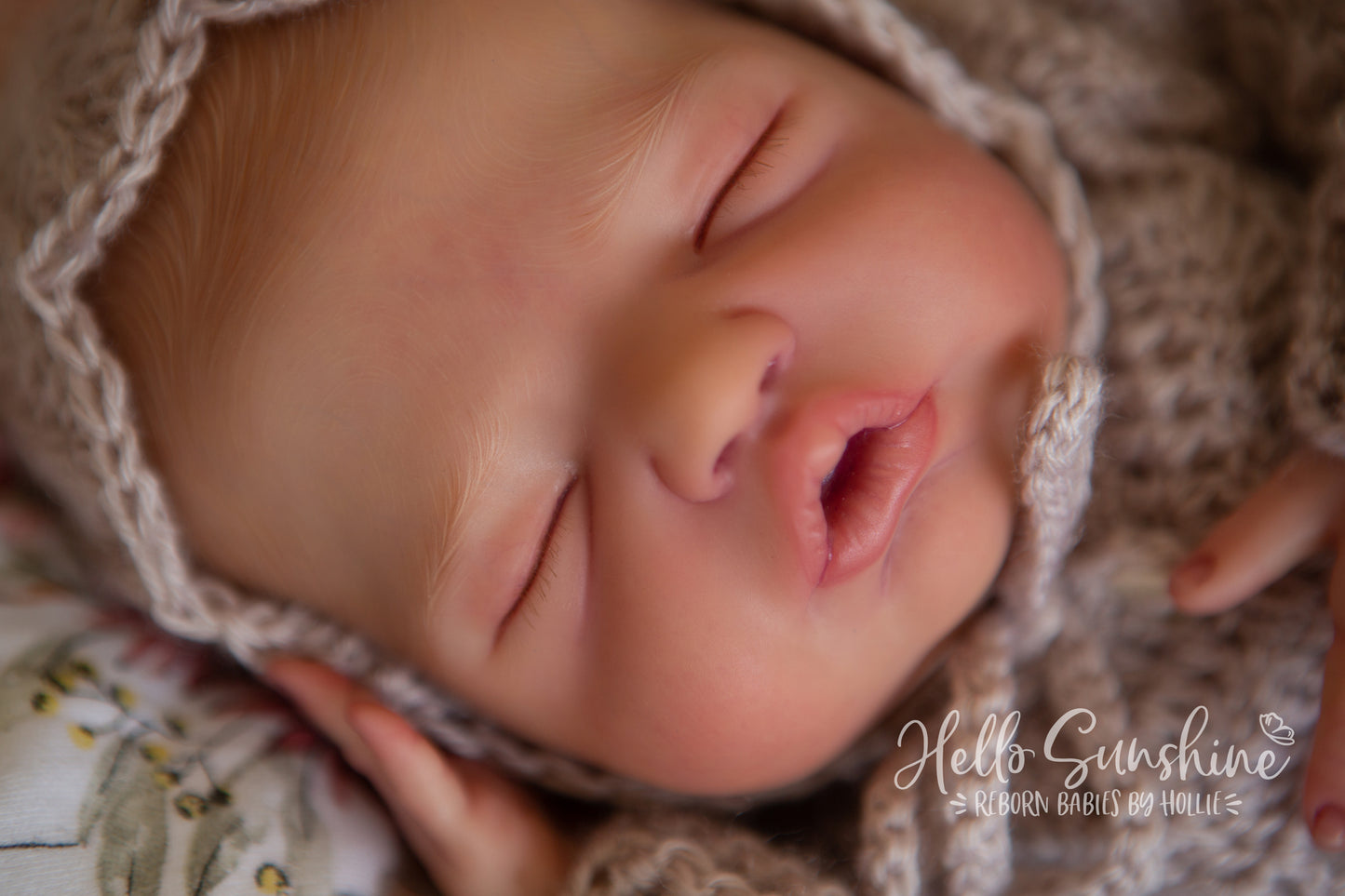 Brin by Lisa Sylvia