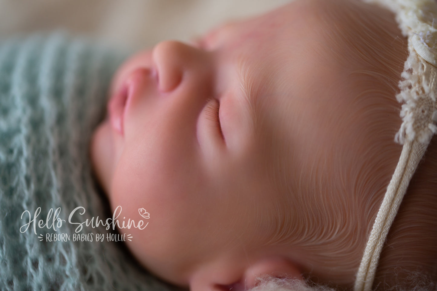 Brin by Lisa Sylvia