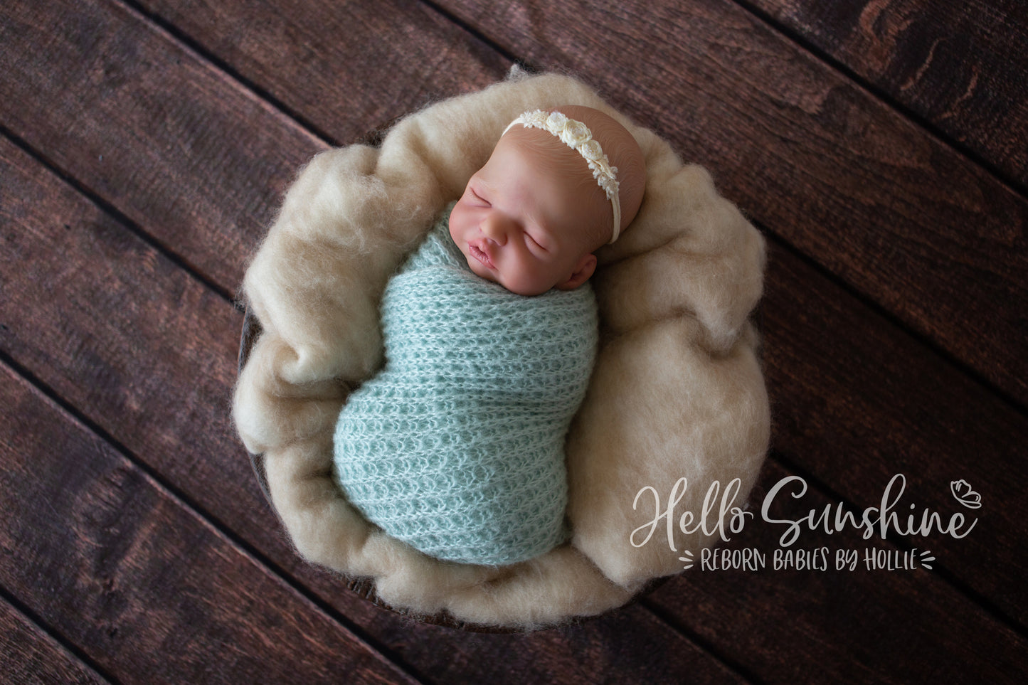 Brin by Lisa Sylvia