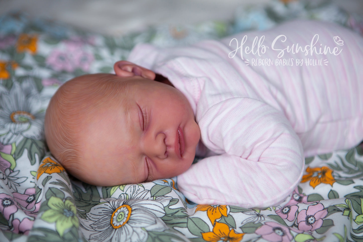 Julie {Cuddle}
