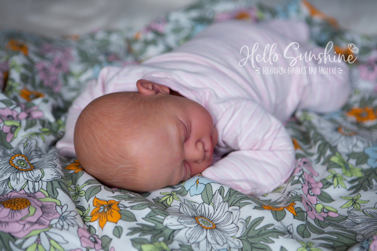 Julie {Cuddle}