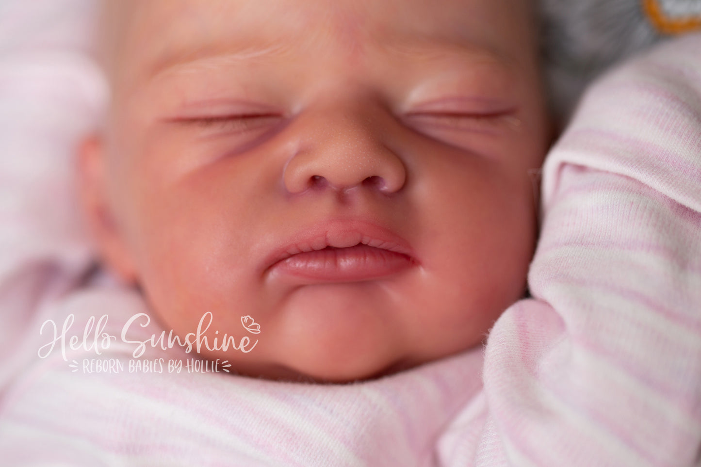 Julie {Cuddle}