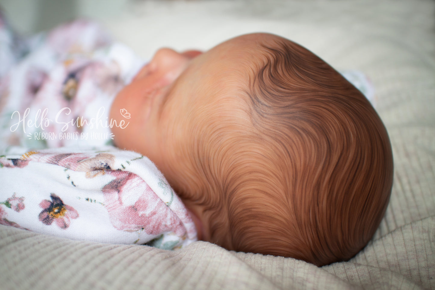 Valentina {Cuddle}