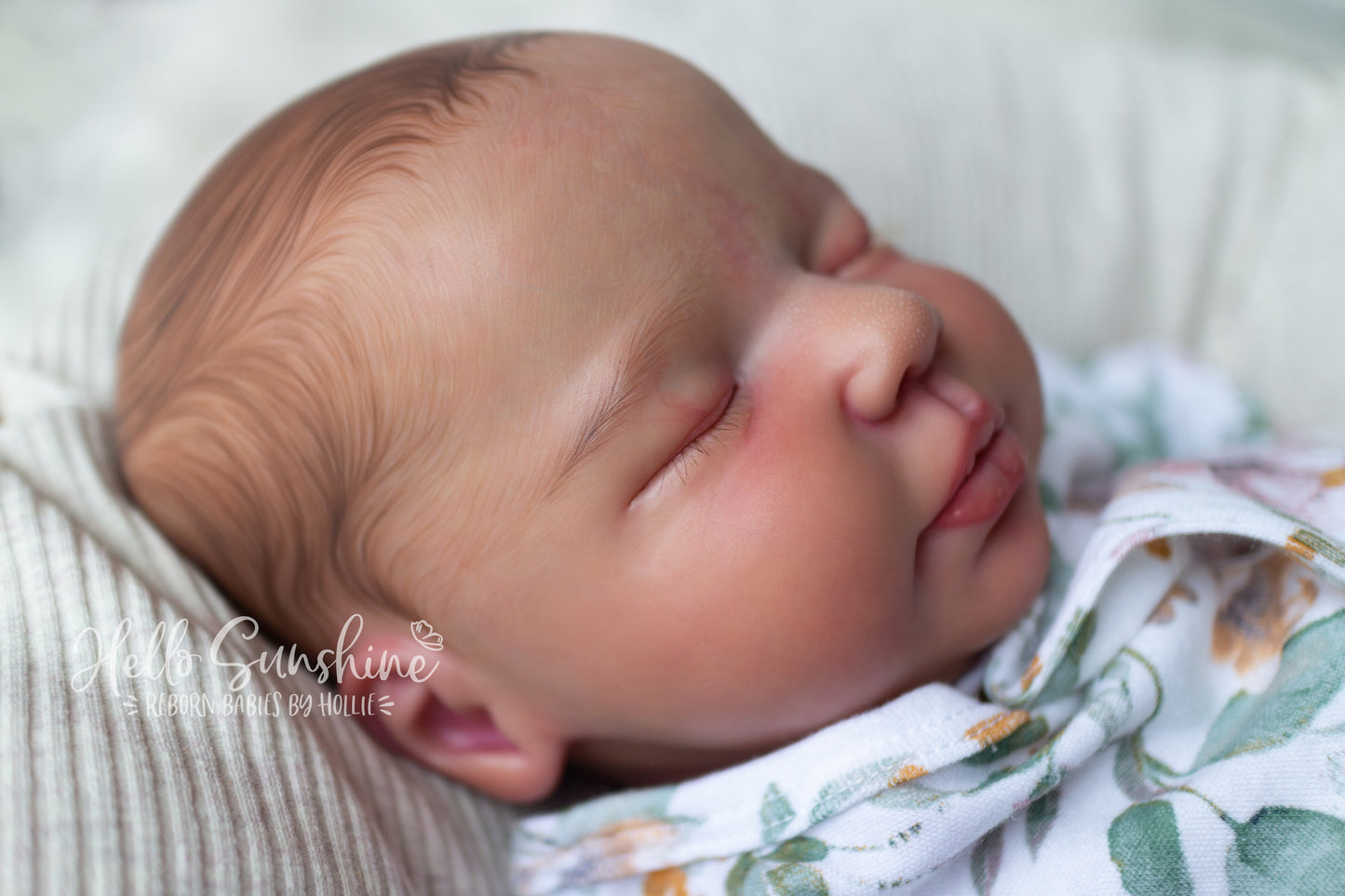 Valentina {Cuddle}