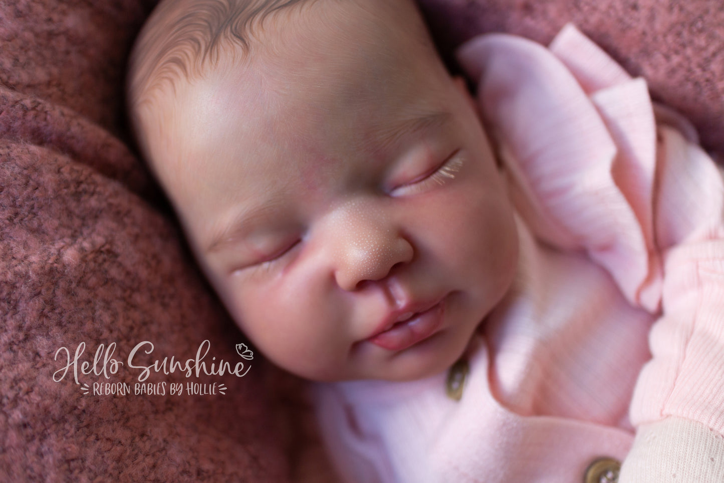 Valentina {Cuddle}