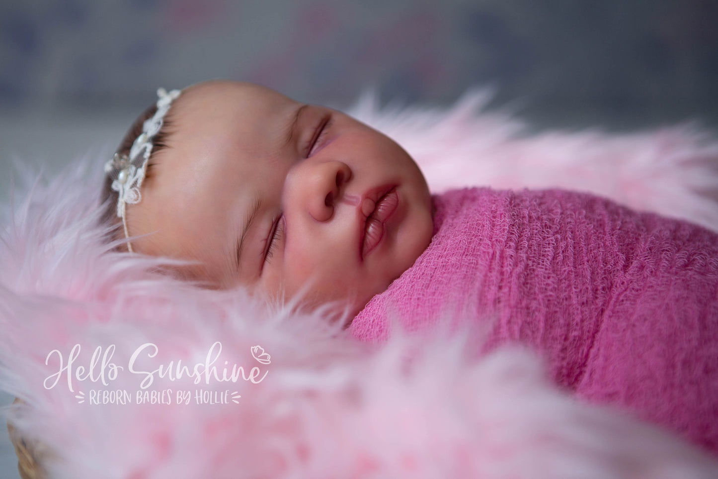 Felicity {Cuddle}